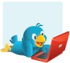 twitter-bird-with-pc